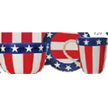 Patriotic Dishes (4 Piece Set)